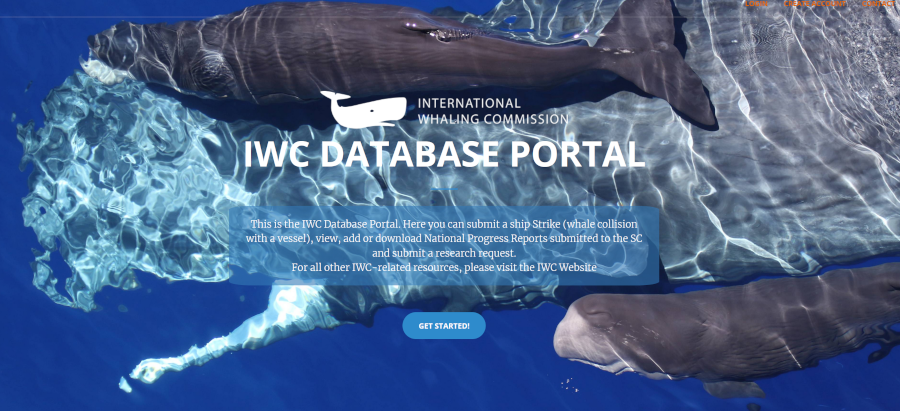 IWC Portal